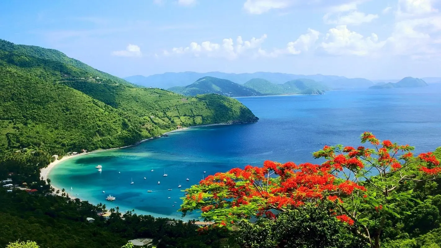 高标准智能